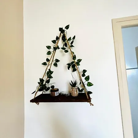 Cosy In The Center Of