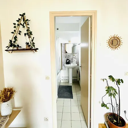 Cosy In The Center Of Apartment